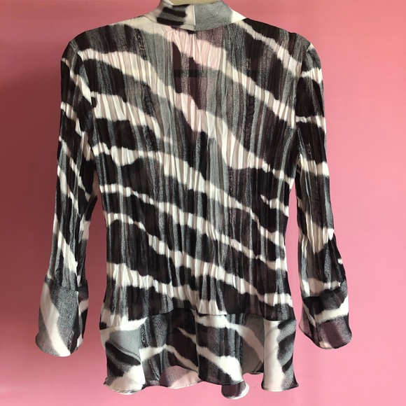 Striped Zebra Print Blouse - Picture 4 of 5
